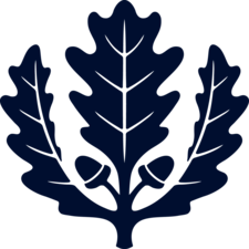 Uconn Oak Leaf logo